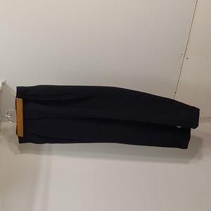 Womans Banana Republic dress pants size 4 petite